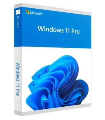 Windows 11