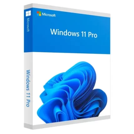 Windows 11